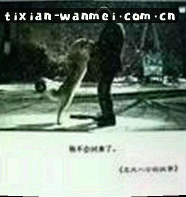 莉莉