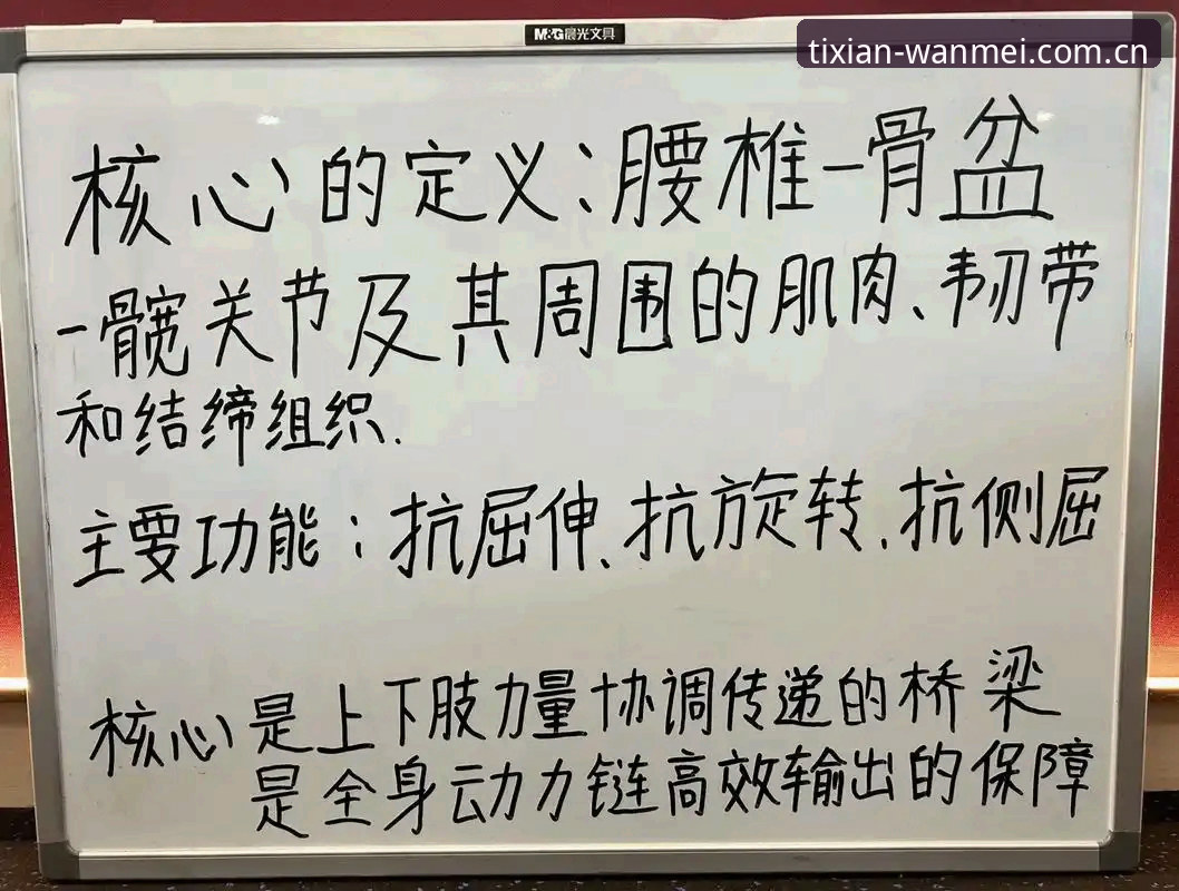 完美体育功能体验实用指南：资深用户分享的五大必备技巧与心得